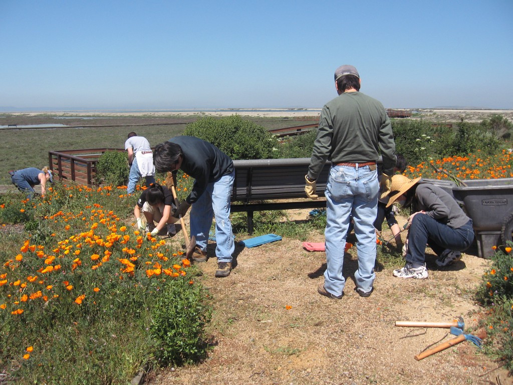 Volunteers get dirty and have fun at the annual Earth Day Cleanup at Ravenswood Point in East Palo Alto, CA.